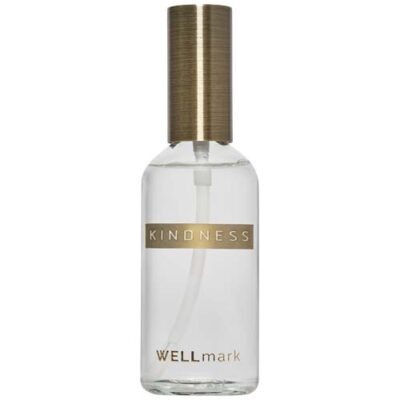 Wellmark 100 ml Raumspray
